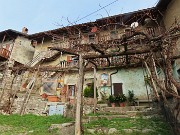 Festa di fiori sui sentieri per il Monte Ubione-6 marzo 2026-FOTOGALLERY